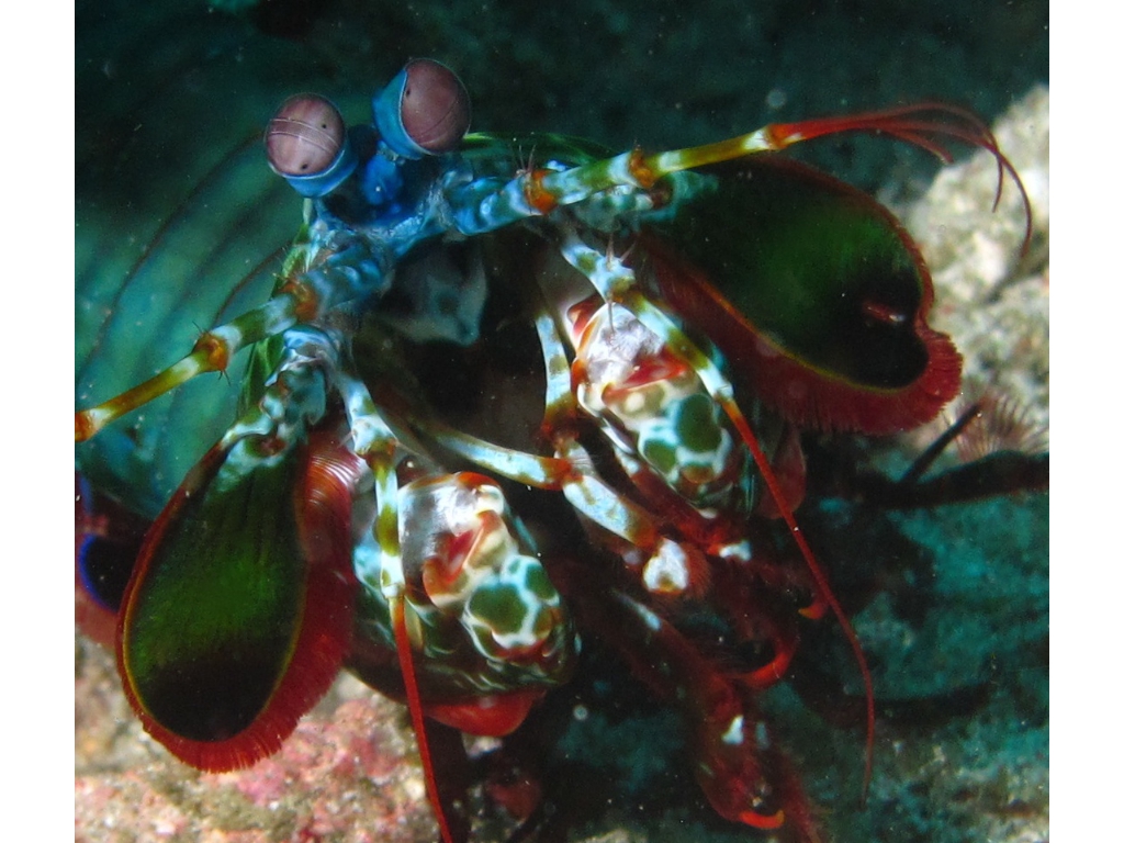 IMG_6921 - Version 3 IMG_6921 - Version 3